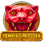 Temple-of-nudges-logo