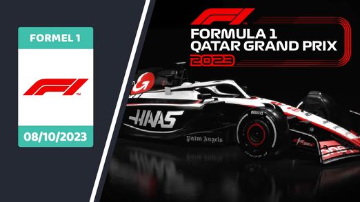 Qatar Grand Prix Formula 1 World Championship